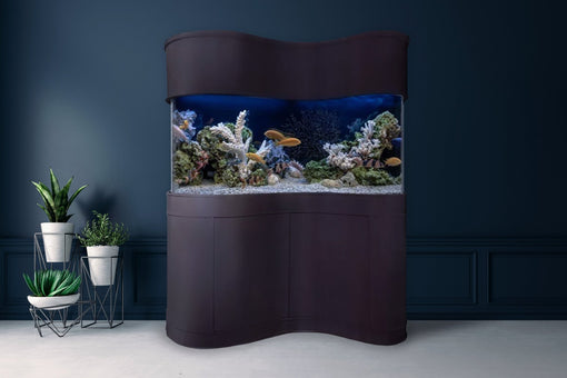 Corner Aquarium Tanks: Choosing the Perfect Fit for Your Home - AQUA VIM