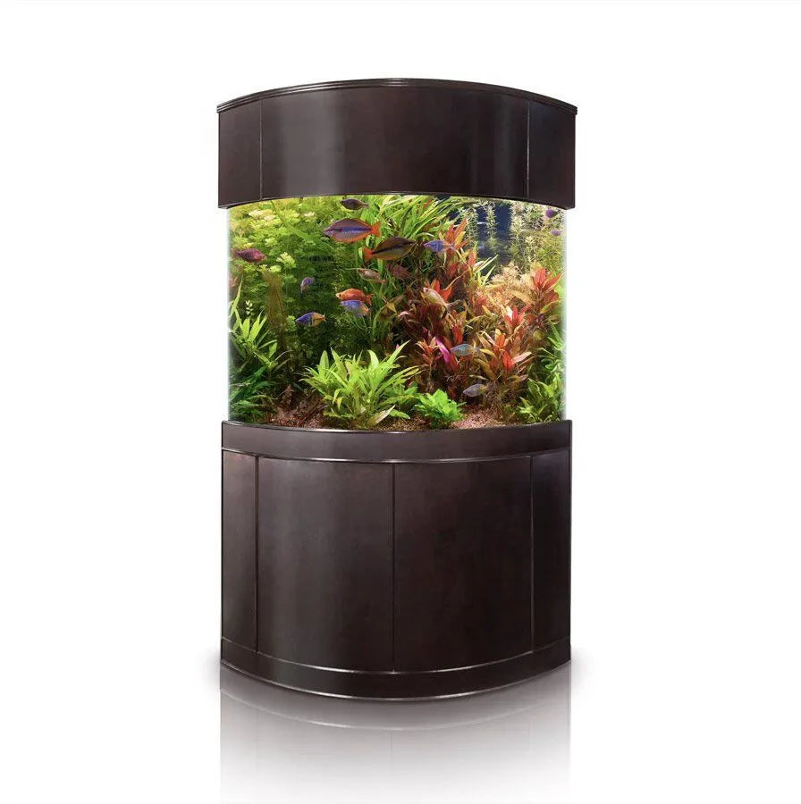 440g Corner 1/4 Cylinder Glass Aquarium Set in Walnut Wood
