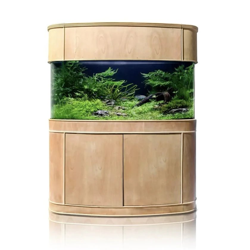 215g Seamless Glass Bowfront Aquarium Set in Unstained Wood AQUA VIM