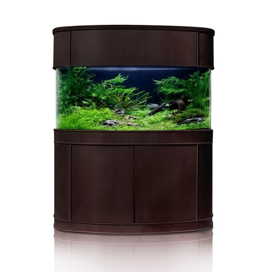 Bow Front Aquarium Tank