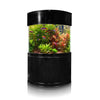 Corner Aquarium