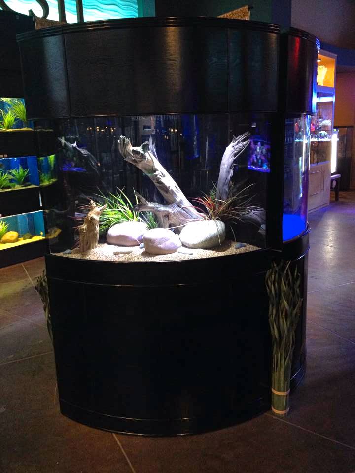Luxury Corner Aquarium