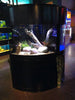 Luxury Corner Aquarium