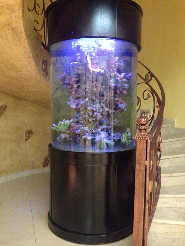 Cylinder | AQUA VIM