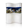Wave Aquarium Tank