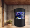 Innovative Uses of Corner Aquarium Tank in Home Decor - AQUA VIM