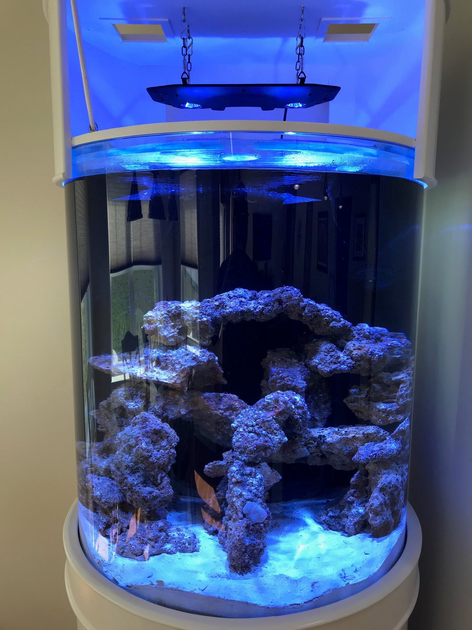 115 Gallon 3/4 Cylinder Glass Reef - Ready Aquarium Set in Tulum White | AQUA VIM