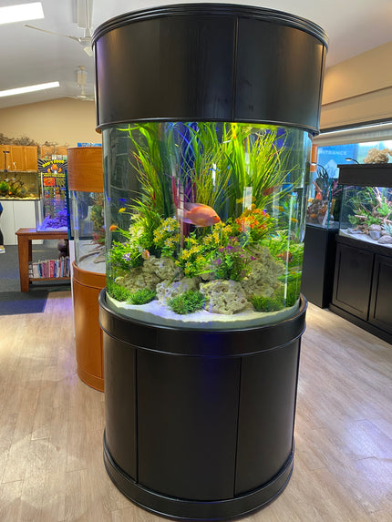 125 Gallon Full Glass Cylinder Set in Abyss Black