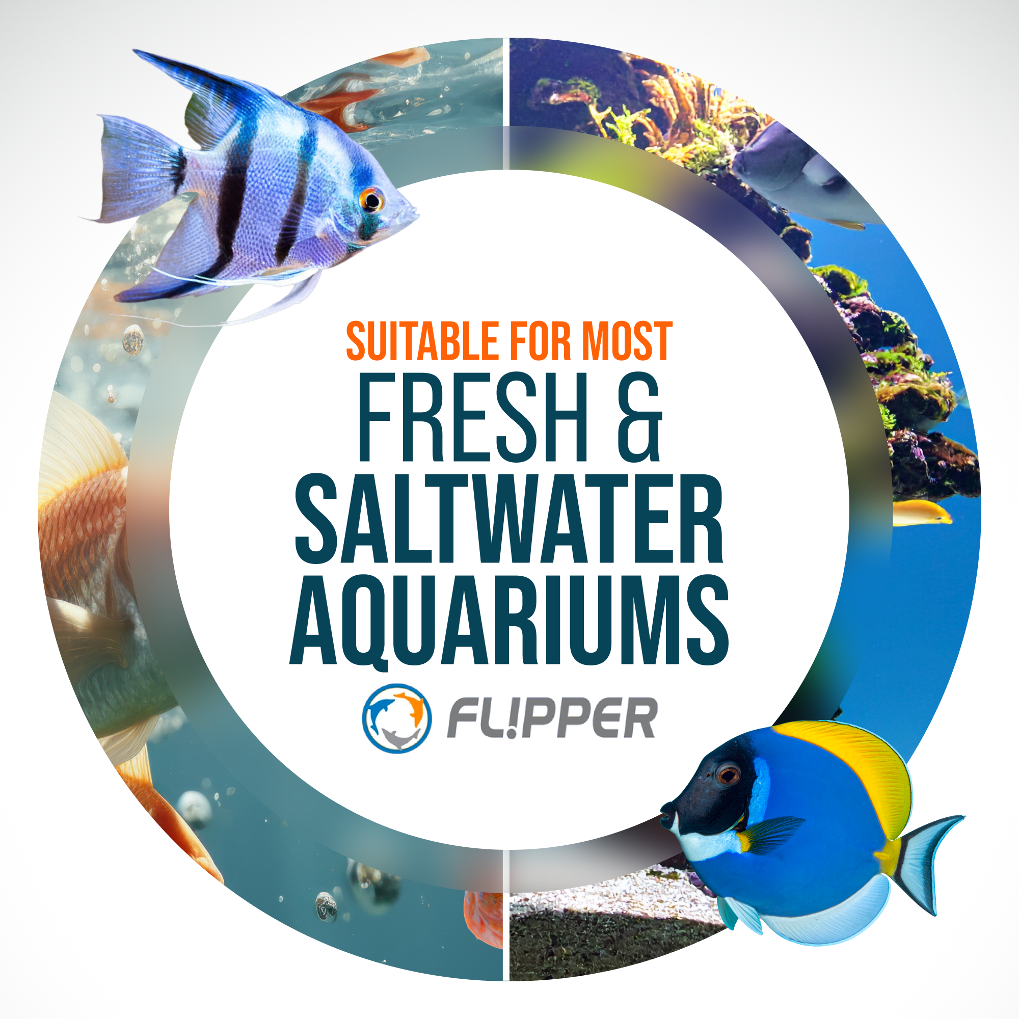 Flipper Platinum Aquarium Algae Scraper - 28