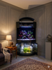Abyss Black 90g Corner 1/4 Cylinder Glass Aquarium Set in Flush Wood Furniture