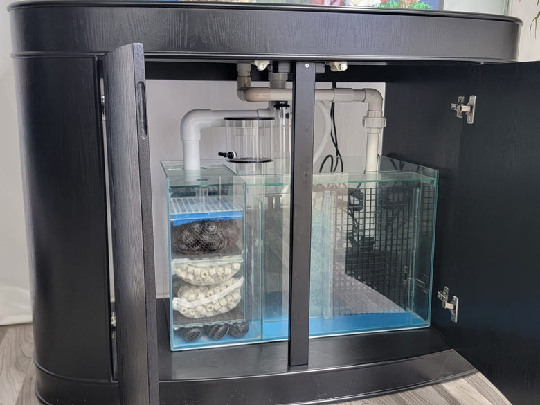 Aquarium Sump Filtration | AQUA VIM