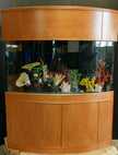 SEE PHOTO PREMIUM CHERRY * 120g Reef-Ready Glass Peninsula Bullet Bullnose U-Shape Aquarium Set (Copy)