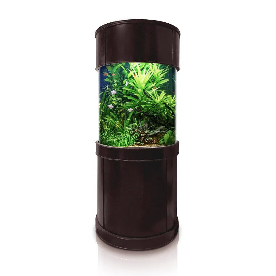125 Gallon Full Glass Cylinder Set in Walnut