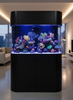 120 Gallon Panoramic Glass Reef-Ready Aquarium Set in Abyss Black