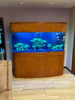 Premium Cherry 380 Gallon Seamless Glass Bowfront Reef-Ready Aquarium Set