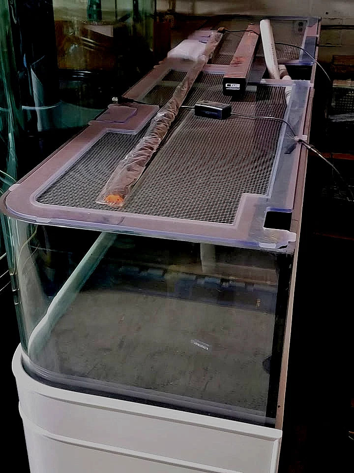 150 Gallon Rimless Glass Reef-Ready Low-Profile Frag Tank