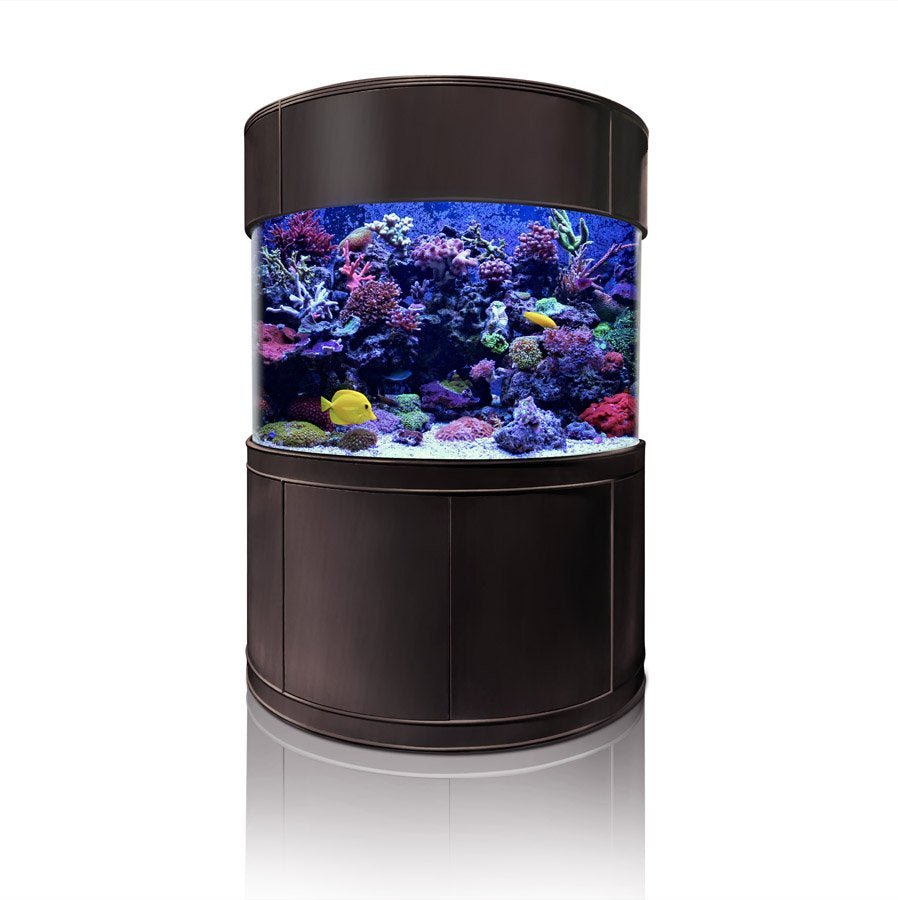 Luxury Aquarium · Cylinder Corner RR Aquariums & Fish Tanks • AQUAVIM ...